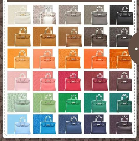 birkin bag colors|what color is hermes caban.